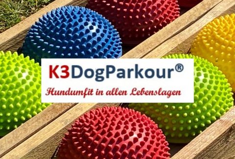 K3 DogParkour Fitness